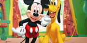 Quiz: Discover your best friend from the Mickey Mouse universe!