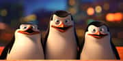 Quiz : Quel pingouin de Madagascar es-tu ?