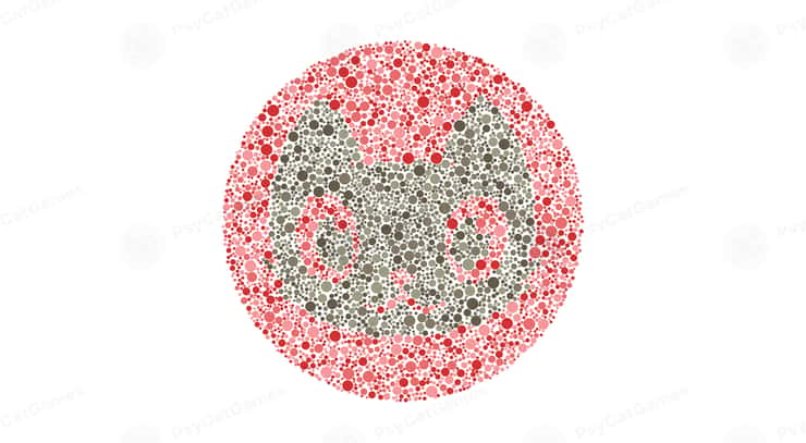 Color blind test | Take the Ishihara test now!