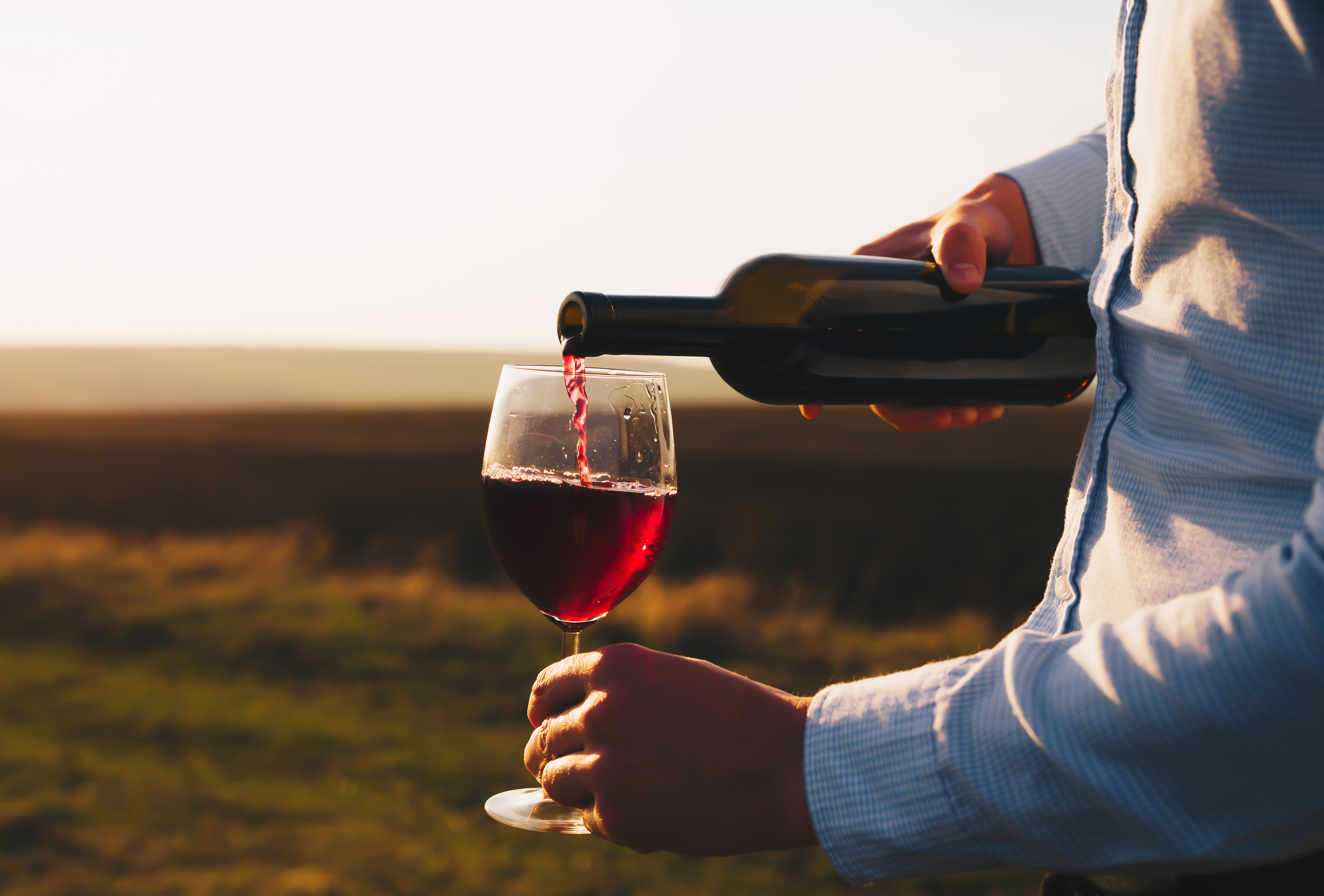 The Ultimate Wine Connoisseur's Quiz